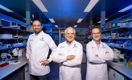 UQ researchers are buoyed by investment in promising heart attack treatment. (Left to right, Associate Professor Nathan Palpant, Associate Professor Mark Smythe and Professor Glenn King). Supplied.